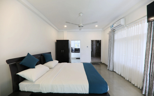 Morning Guest can see Momkeyies and Birds