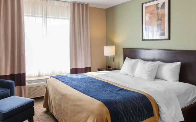 Comfort Inn Near Quantico Main Gate North