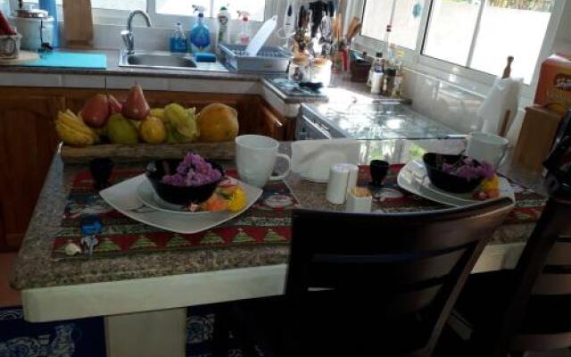 Ocean Bird & Wanita's Self Catering