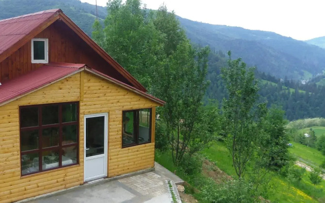 Kings Valley - Sunny Botesti