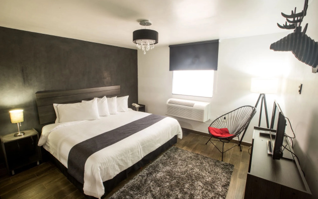 VN Hotel