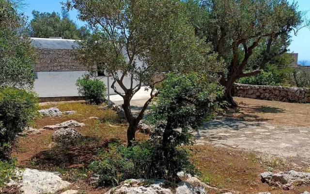 Scogliera del Gabbiano