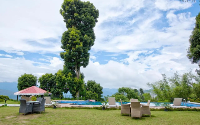 Pine Tree Spa Resort