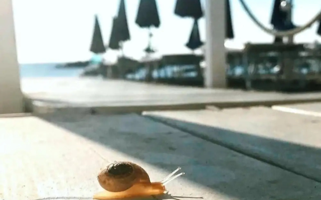Hotel Tokio Home-Tokio Beach dependence
