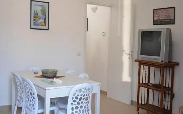 Sasinae-Home Via Gioberti