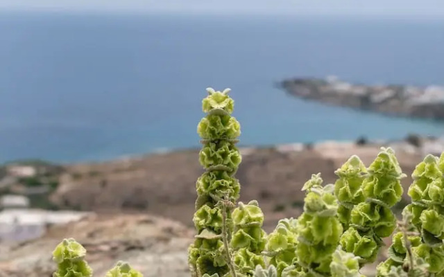Luxury Villa With Pool And Sea View..!