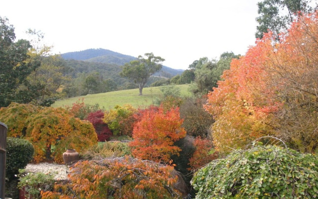 Riverhouse at Howqua Dale