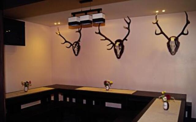 Viesu nams Raibais Asaris