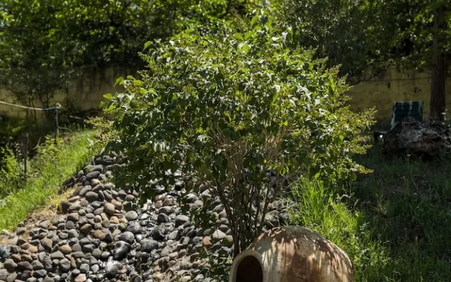 Organic House & Aquapark