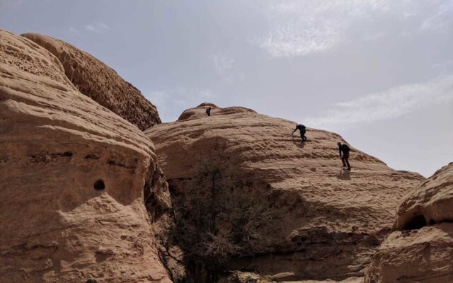 Bedouins Desert camp