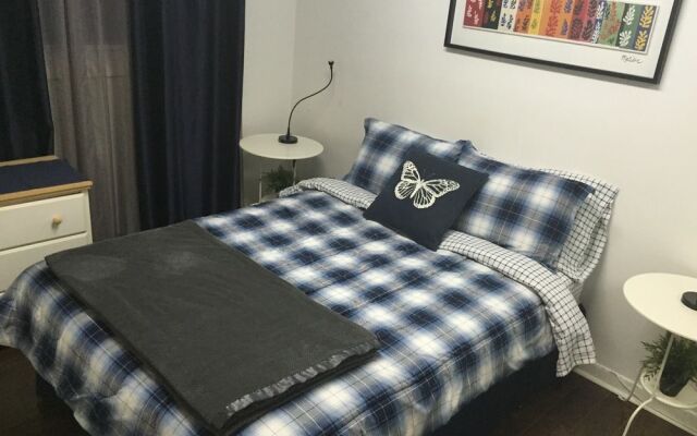 Adib Apartments - 2077 Walkley Rd