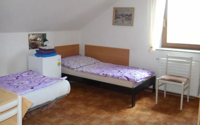Penzion U Lesa