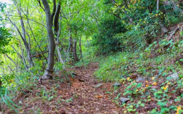 Yeosu Ocean View Pension