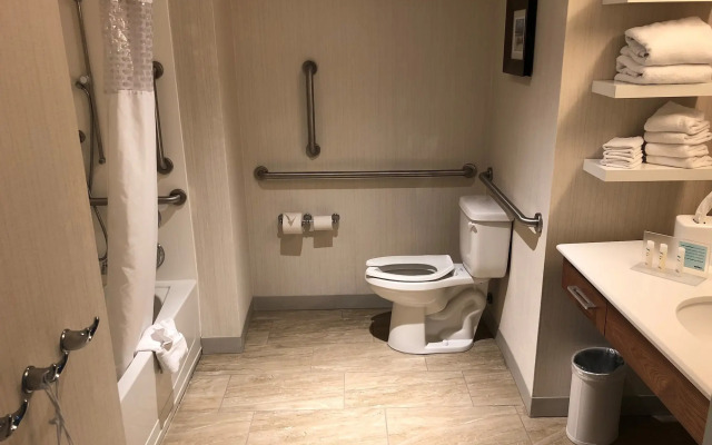 Hampton Inn & Suites Tampa Busch Gardens Area