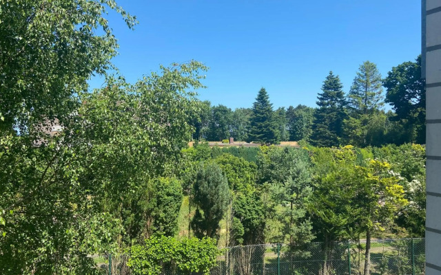 Meeresrauschen - a57320