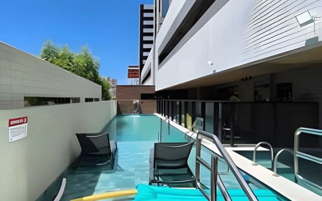 Studio Design 3 - Lions