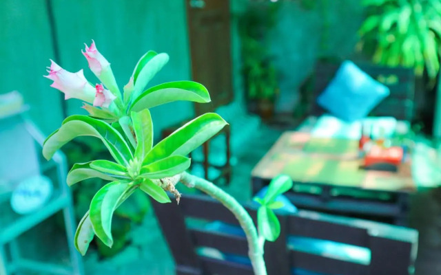 okHouseBiz BNB