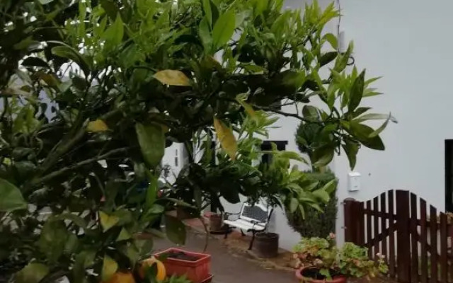 El Oteru I