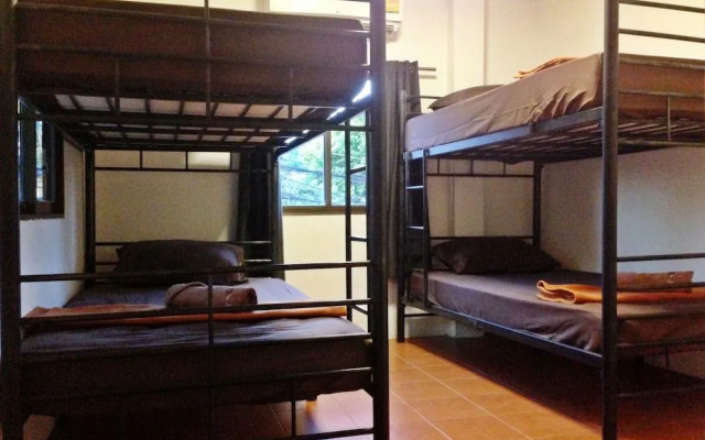 White Rabbit - Hostel