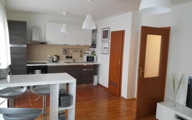 Apartment Roko