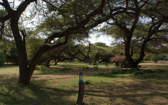 Lake Natron Tented Camp