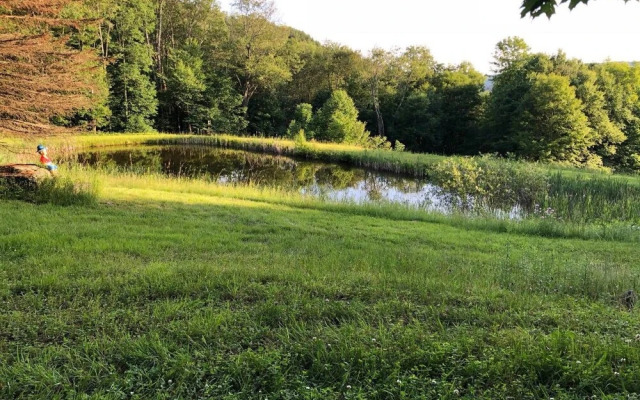 Tentrr - Hummingbird Haven