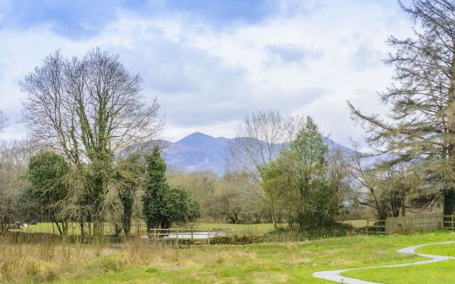 Killarney Glamping at the Grove