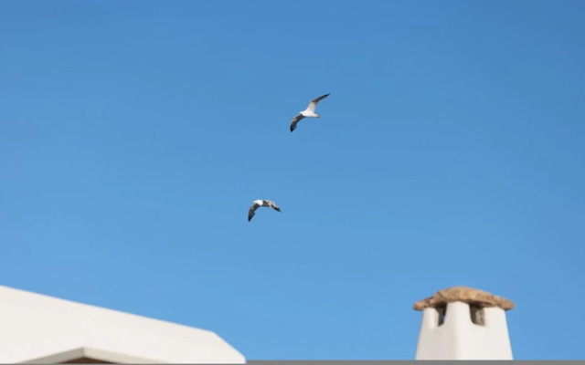 Villa Anali Kastraki Naxos