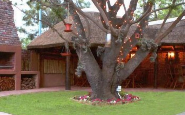 Treetops Guesthouse