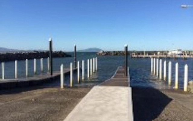 Harrys Haven Harrington