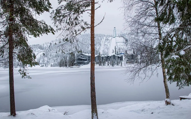 Rukan Tähtihelmi Kelokivakka b12