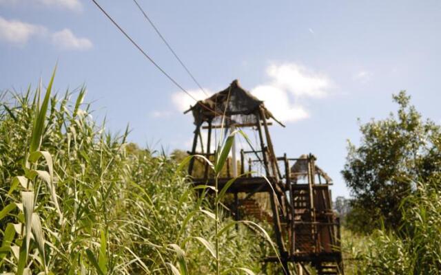 Aula-Albergue De La Naturaleza La Laurisilva