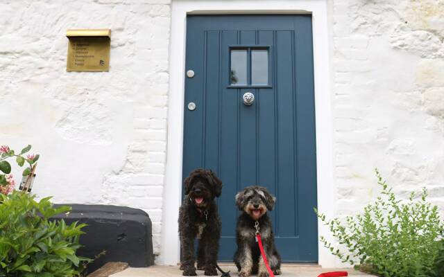 The Dog and Badger