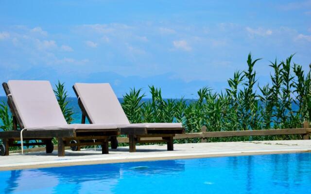 Beachfront Villa Dionysos