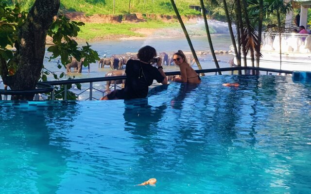 Hotel Elephant Park