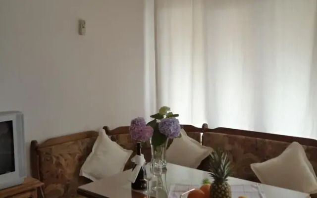 Apartment Babić