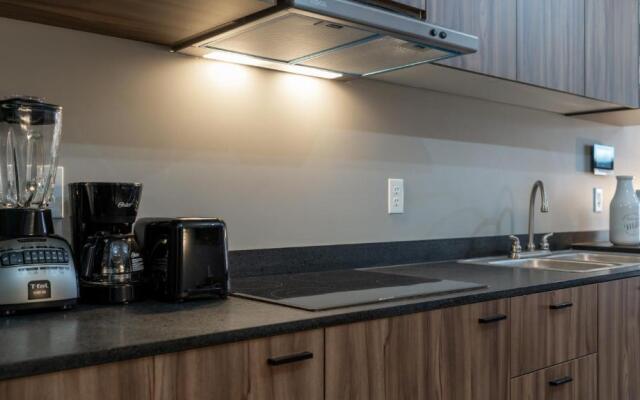 Modern Industrial Style Apartments by Tribu San Martin
