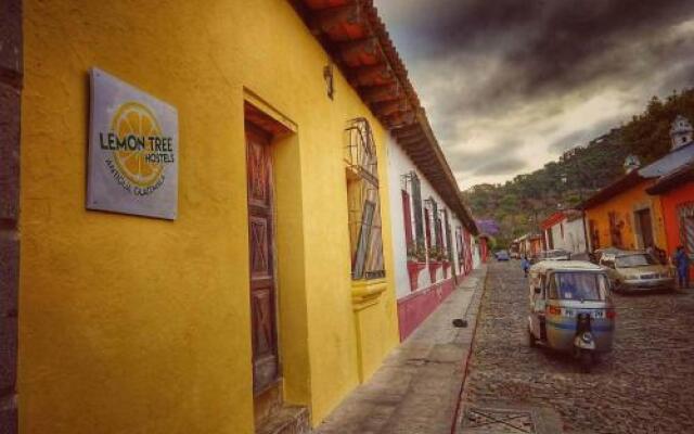 Lemon Tree Hostel