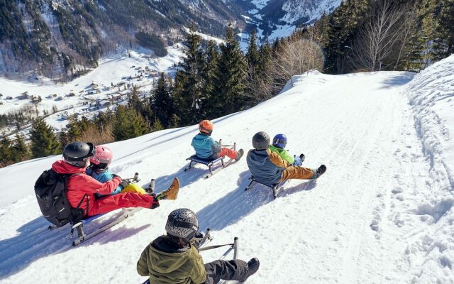 Alpen Suites Brandnertal