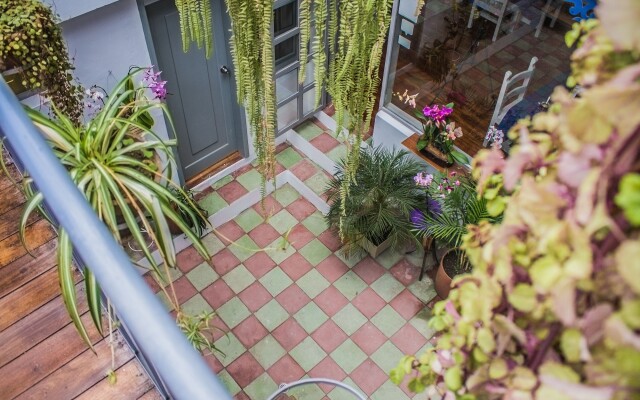 Posada del Maple - Hostel