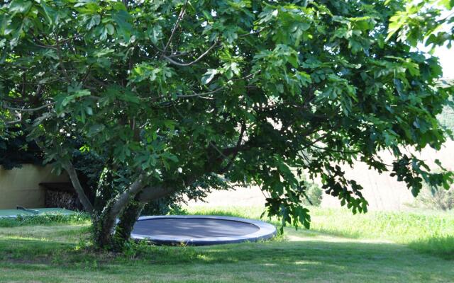 Amazing Apartment in Belvedere Ostrense With Garden