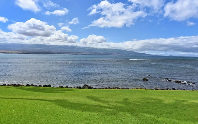 Lauloa 105