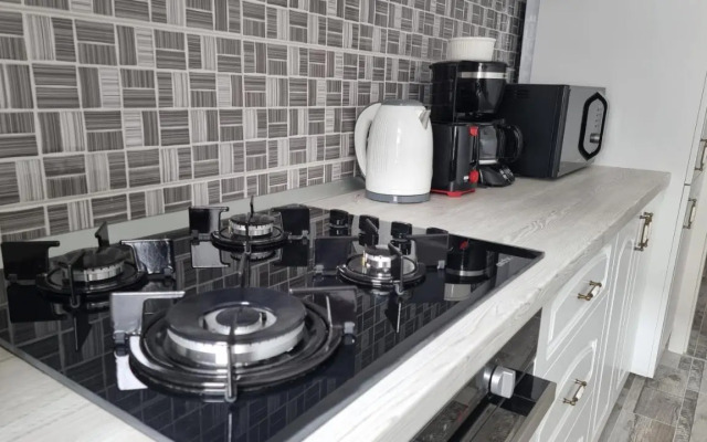 Swan Brasov Apartment