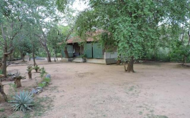 Sunil's Jungle Bungalow