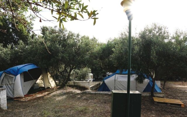 Camping Ciauli