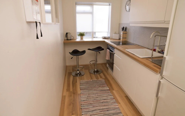 Cozy Central Apartment in the Heart of Reykjaviks City Center