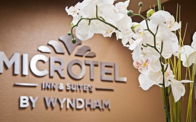 Microtel Inn & Suites by Wyndham Buda At Cabelas