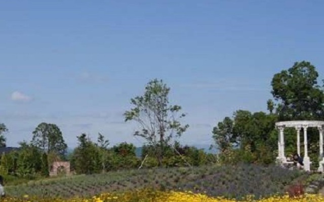 Business Hotel Nishine