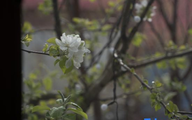 Yining Youjia Laike Homestay