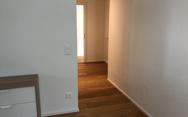 Brissago Vista Lago 1